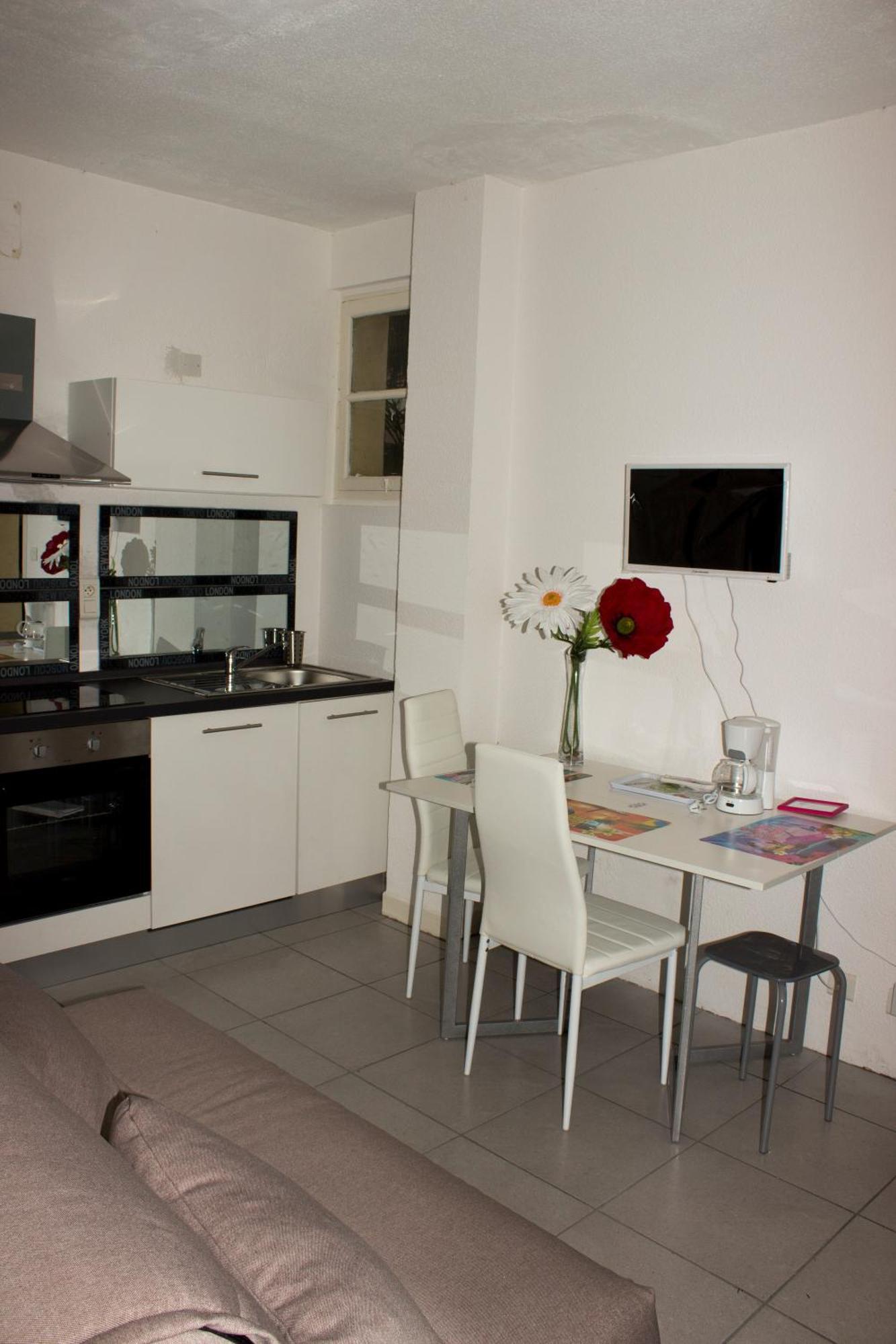Beau Rez De Jardin Appartement